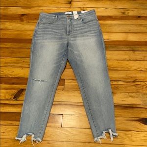 Loft curvy high waisted jeans